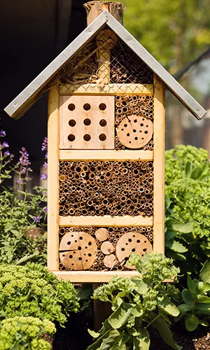 Hoteles para insectos polinizadores